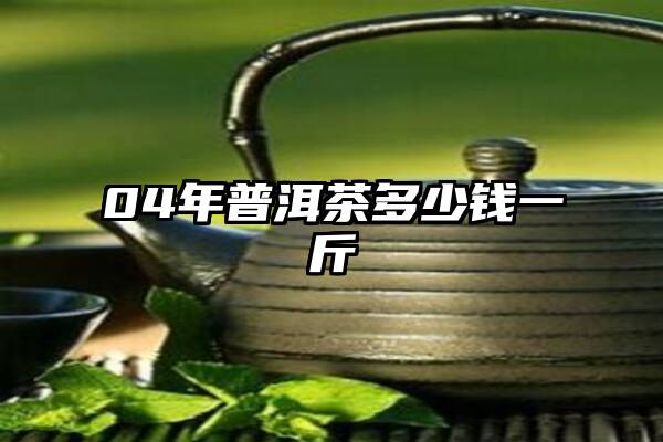 04年普洱茶多少钱一斤
