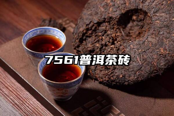 7561普洱茶砖
