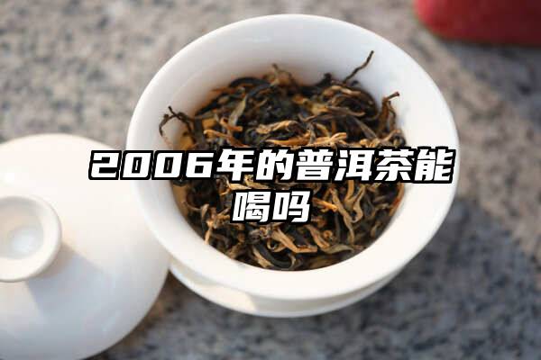 2006年的普洱茶能喝吗