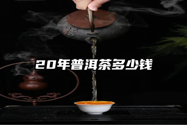 20年普洱茶多少钱