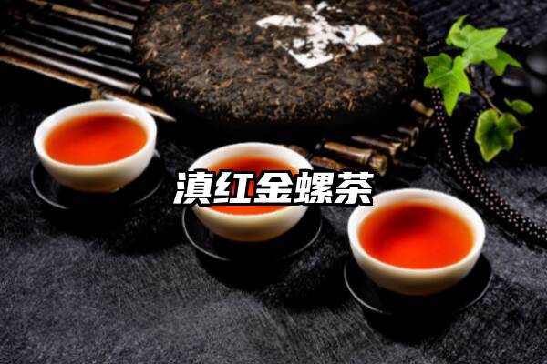 滇红金螺茶