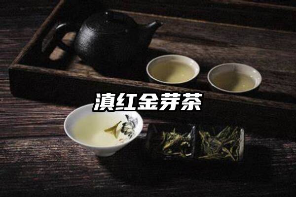 滇红金芽茶