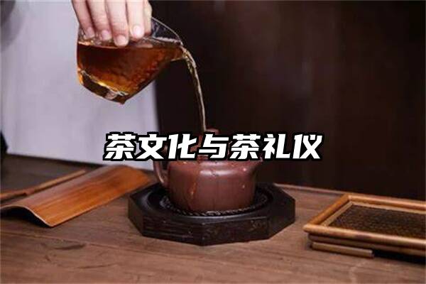 茶文化与茶礼仪