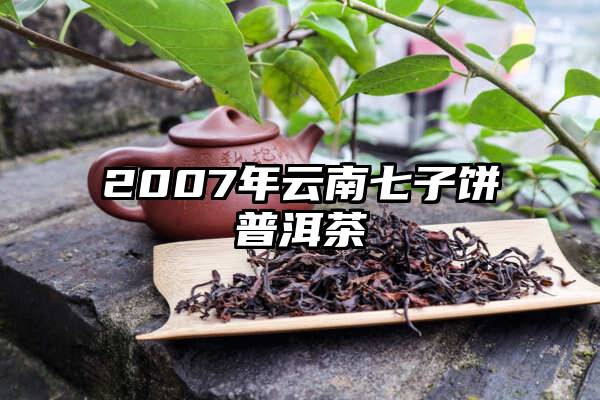 2007年云南七子饼普洱茶