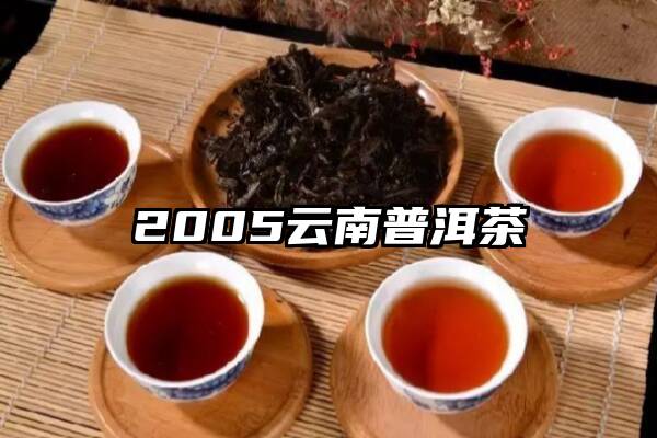 2005云南普洱茶