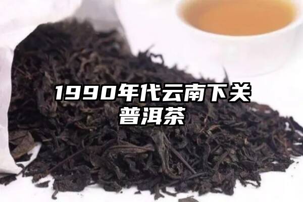1990年代云南下关普洱茶