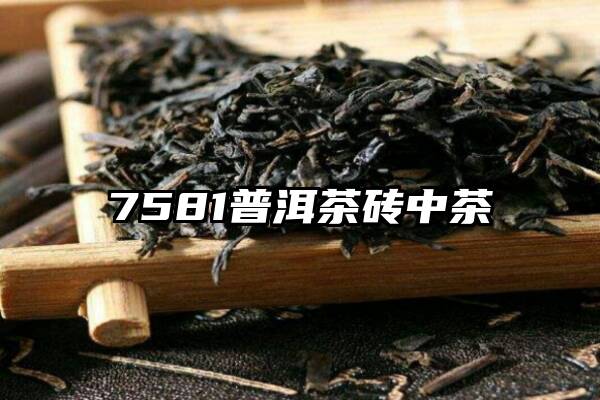 7581普洱茶砖中茶