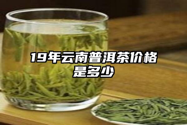 19年云南普洱茶价格是多少