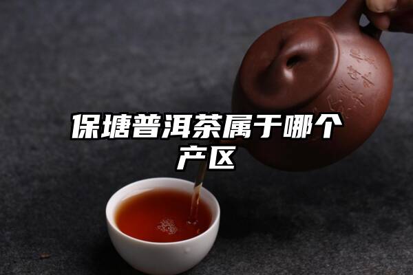 保塘普洱茶属于哪个产区