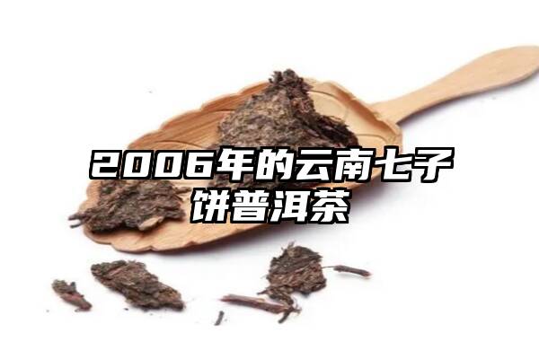 2006年的云南七子饼普洱茶