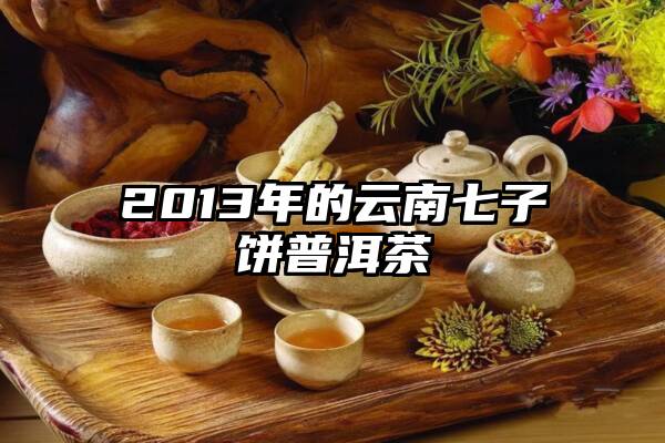 2013年的云南七子饼普洱茶