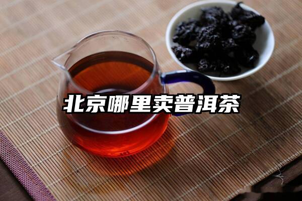 北京哪里卖普洱茶