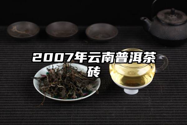 2007年云南普洱茶砖