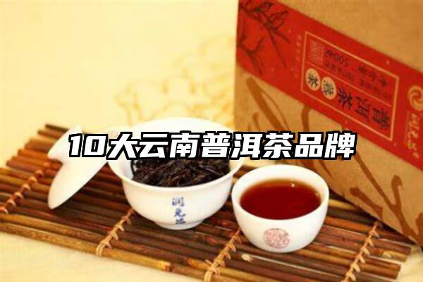 10大云南普洱茶品牌
