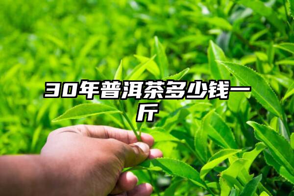30年普洱茶多少钱一斤