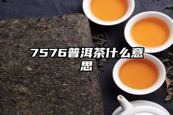 7576普洱茶什么意思