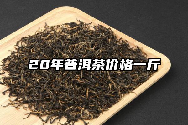 20年普洱茶价格一斤