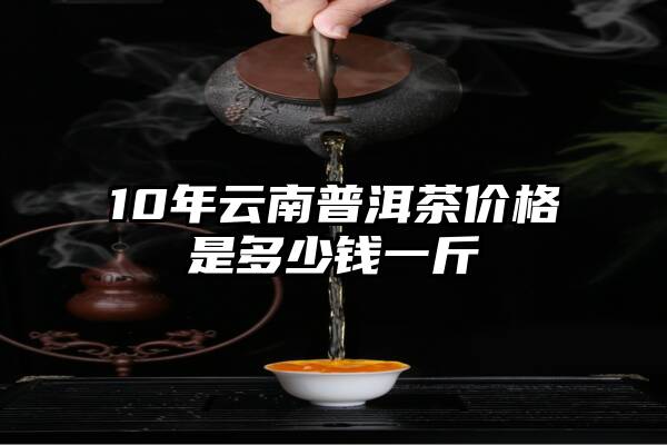 10年云南普洱茶价格是多少钱一斤