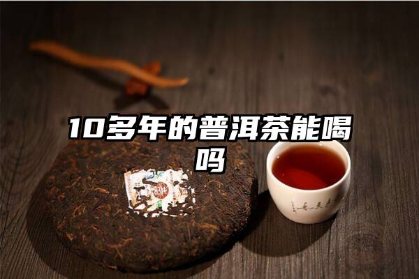 10多年的普洱茶能喝吗
