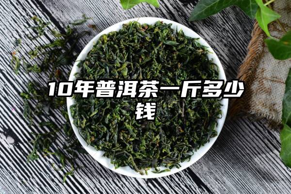 10年普洱茶一斤多少钱