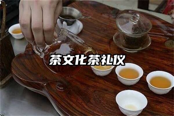 茶文化茶礼仪
