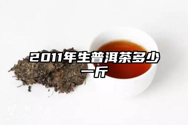 2011年生普洱茶多少一斤