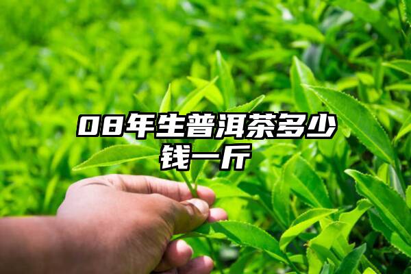 08年生普洱茶多少钱一斤