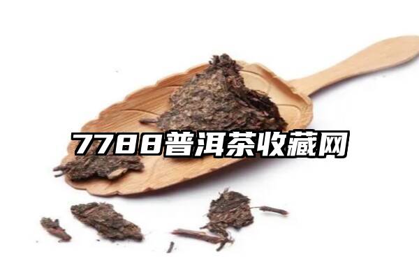 7788普洱茶收藏网