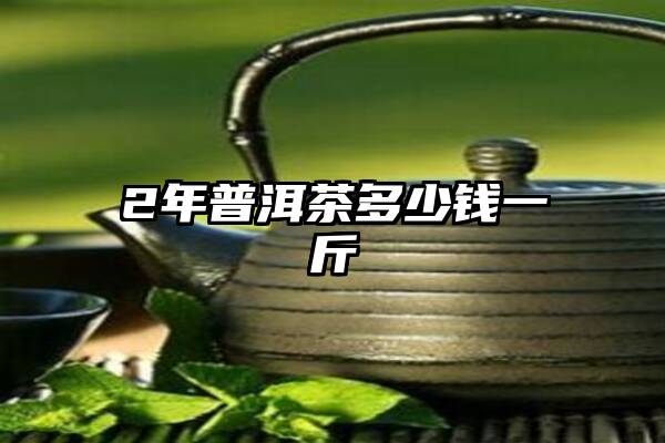 2年普洱茶多少钱一斤