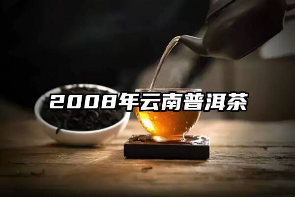 2008年云南普洱茶
