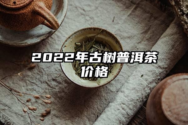 2022年古树普洱茶价格