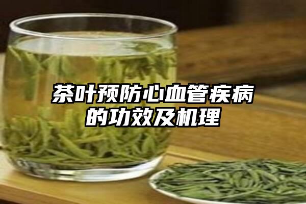 茶叶预防心血管疾病的功效及机理