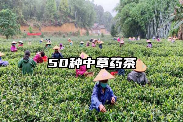 50种中草药茶