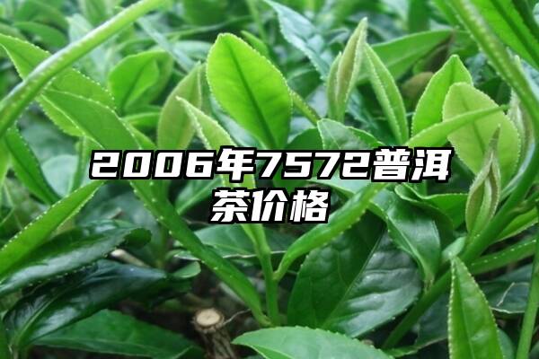 2006年7572普洱茶价格
