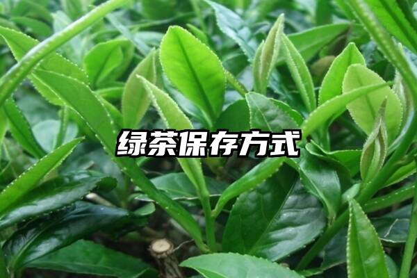 绿茶保存方式