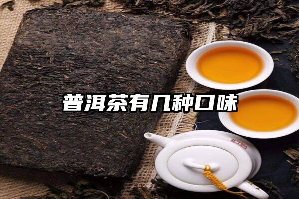 普洱茶有几种口味