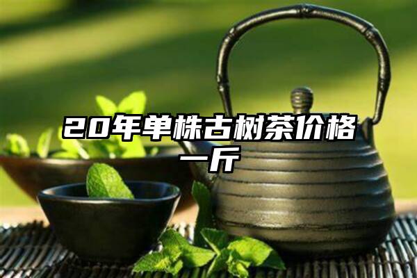 20年单株古树茶价格一斤
