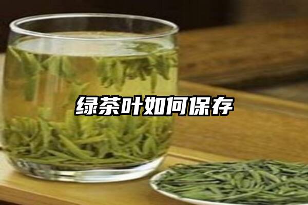 绿茶叶如何保存