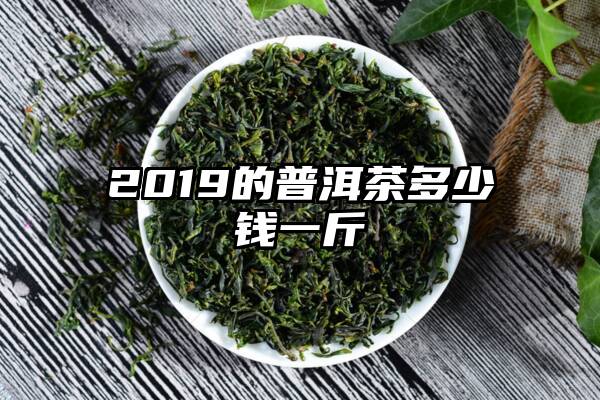 2019的普洱茶多少钱一斤