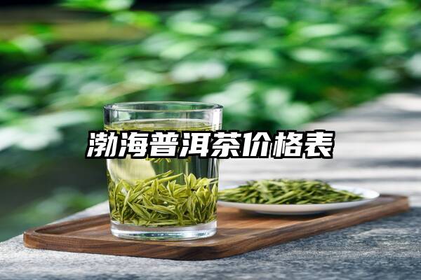 渤海普洱茶价格表
