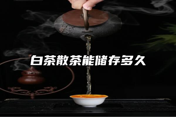 白茶散茶能储存多久