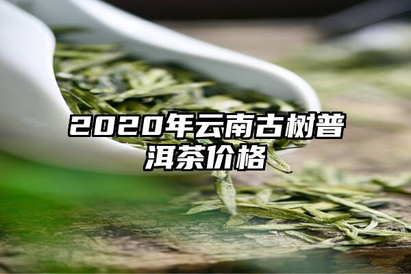 2020年云南古树普洱茶价格