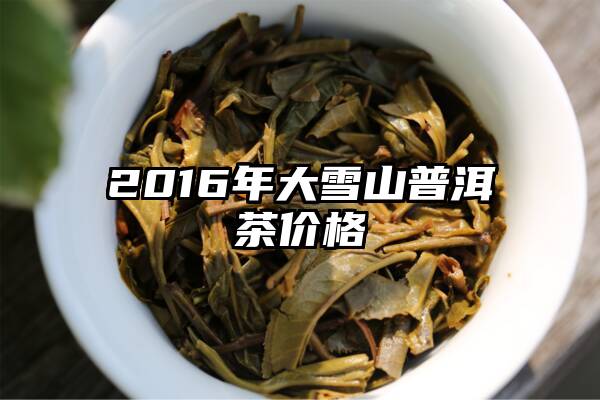 2016年大雪山普洱茶价格