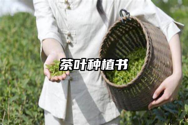 茶叶种植书