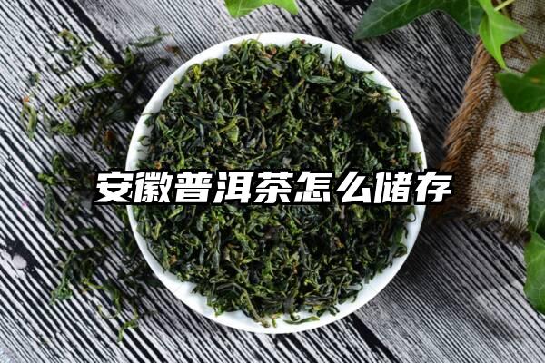 安徽普洱茶怎么储存