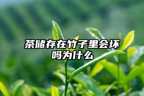 茶储存在竹子里会坏吗为什么