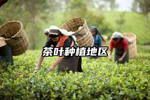 茶叶种植地区