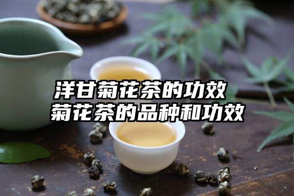 洋甘菊花茶的功效 菊花茶的品种和功效