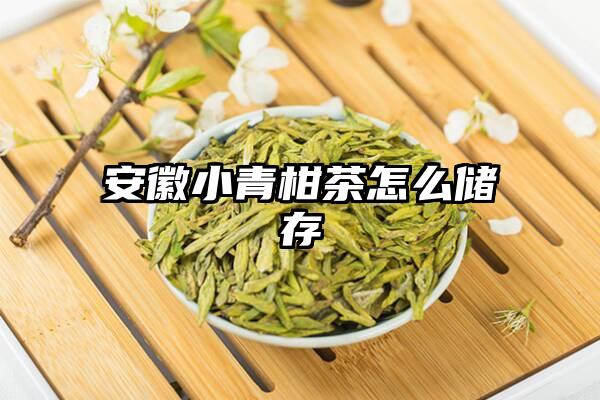安徽小青柑茶怎么储存