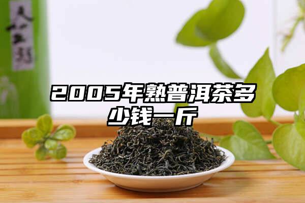 2005年熟普洱茶多少钱一斤